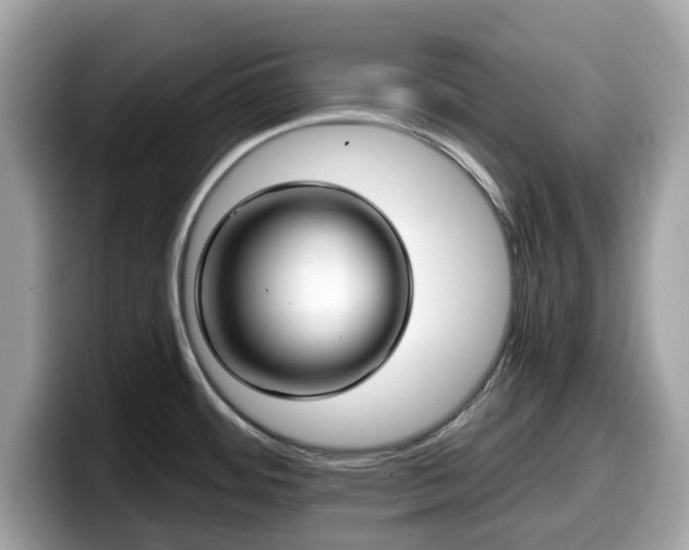X0000098111484200804111045