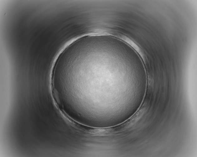 X0000098111485200804111045