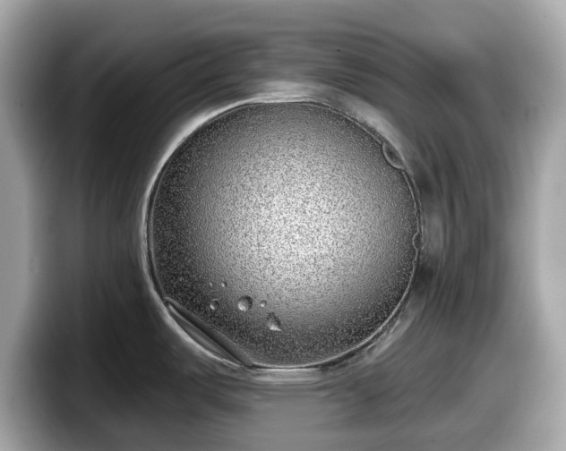 X0000098111487200804111045