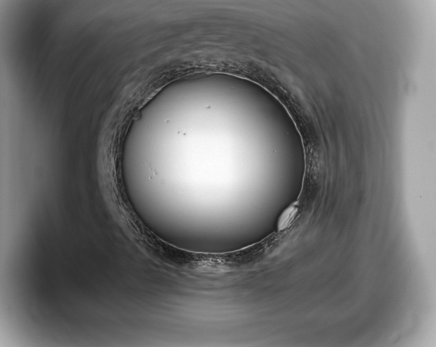 X0000098111489200804111044