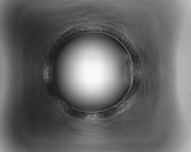 X0000098111490200804111044