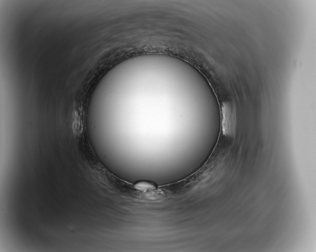 X0000098111491200804111044
