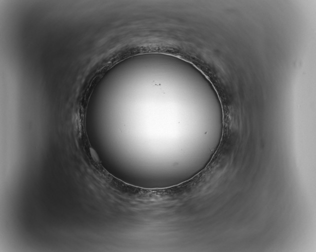X0000098111493200804111044