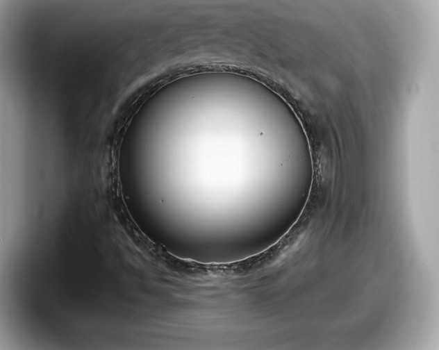 X0000098111494200804111044