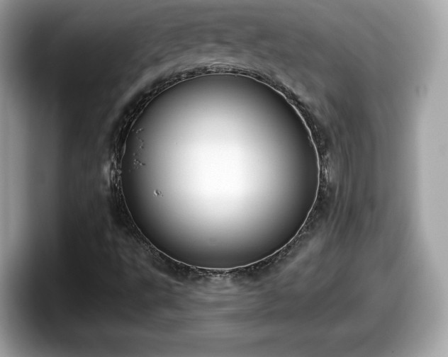 X0000098111495200804111044
