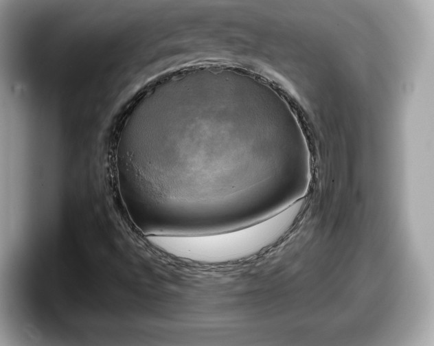 X0000098111496200804111044