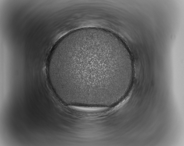 X0000098111497200804111045