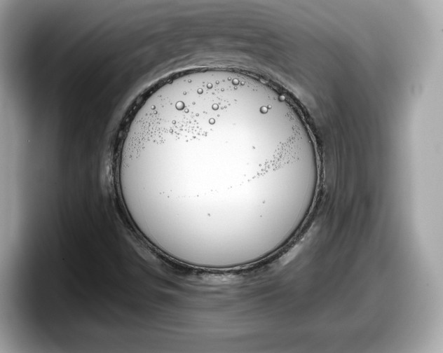 X0000098111498200804111045