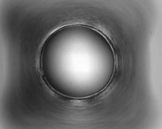 X0000098111500200804111045