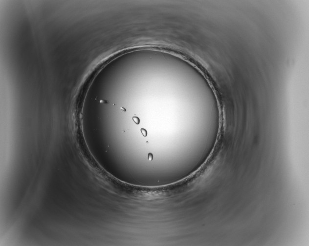 X0000098111501200804111045