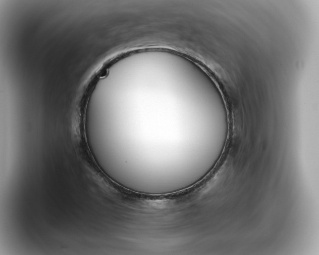 X0000098111502200804111045