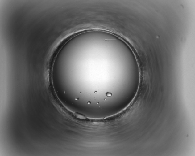 X0000098111503200804111045
