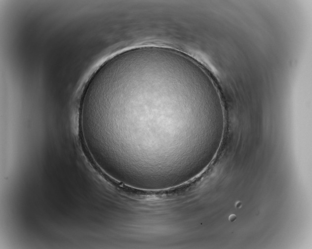 X0000098111504200804111045