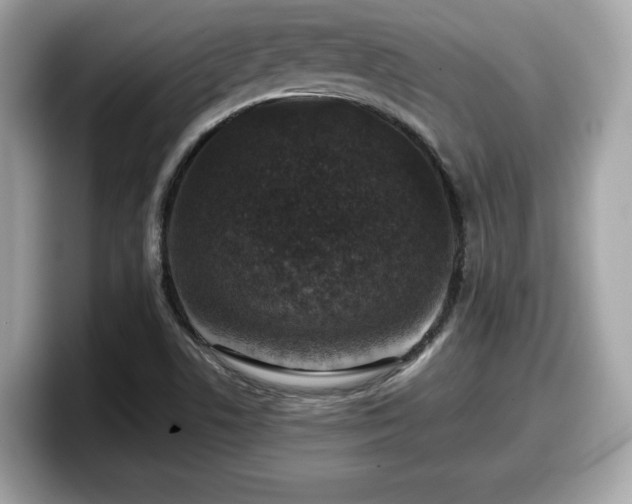 X0000098111506200804111045