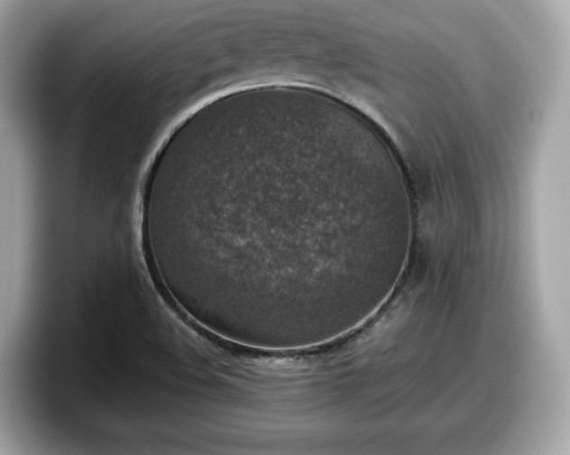 X0000098111508200804111045