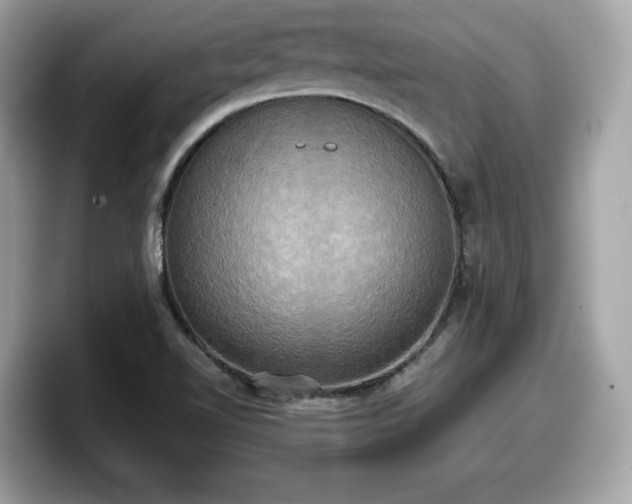 X0000098111510200804111045