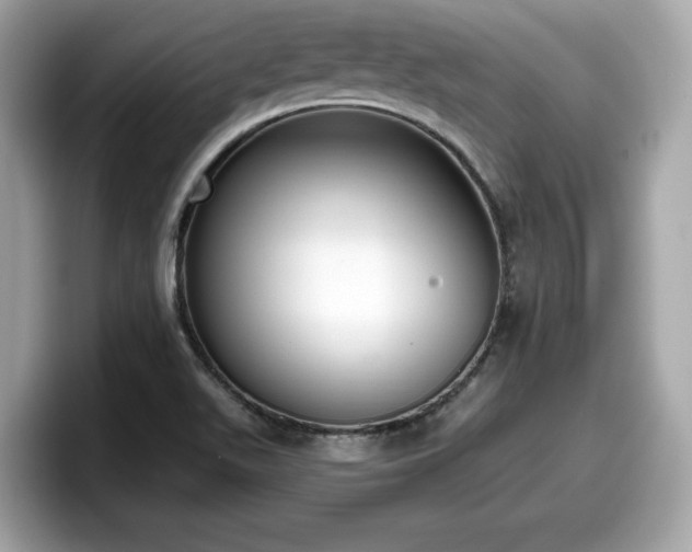 X0000098111511200804111045