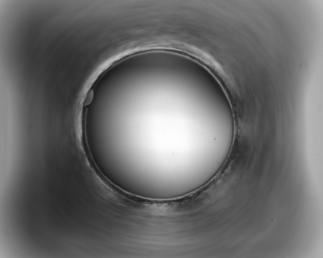 X0000098111512200804111045