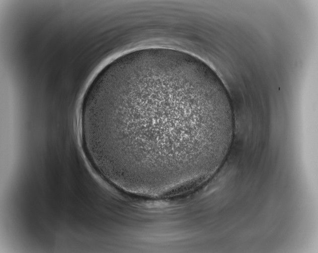 X0000098111515200804111045