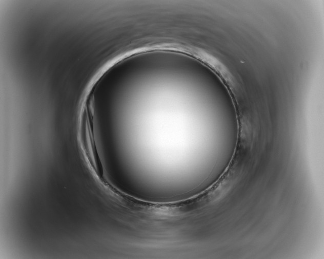 X0000098111520200804111045
