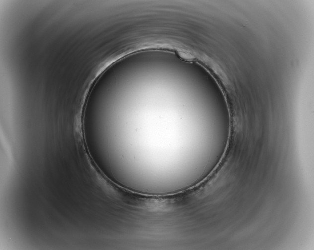X0000098111521200804111045