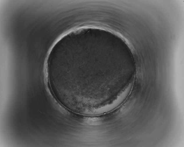 X0000098111522200804111045
