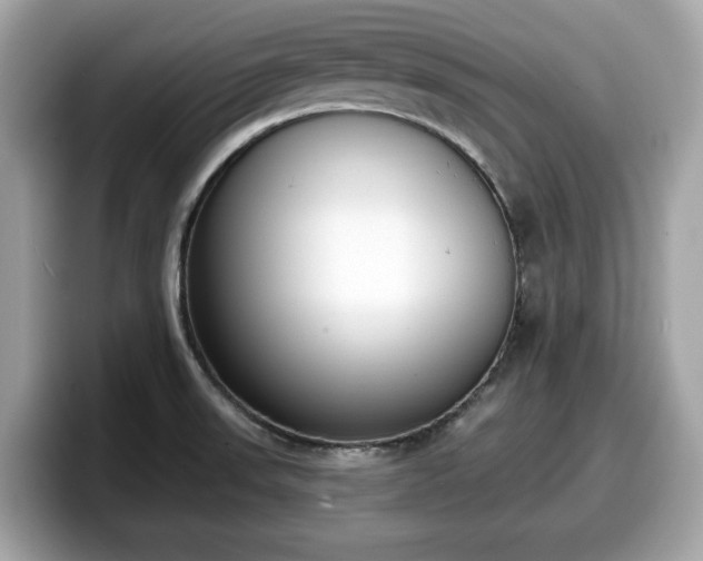 X0000098111523200804111045