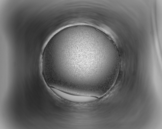 X0000098111524200804111045