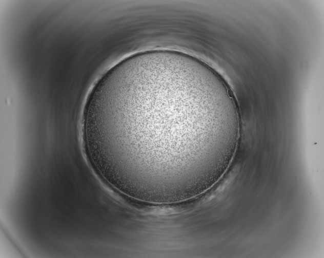 X0000098111525200804111045
