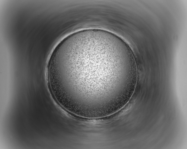 X0000098111527200804111045
