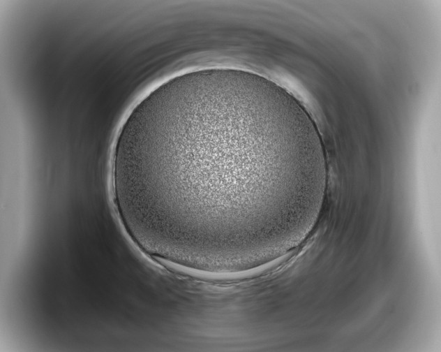 X0000098111528200804111045