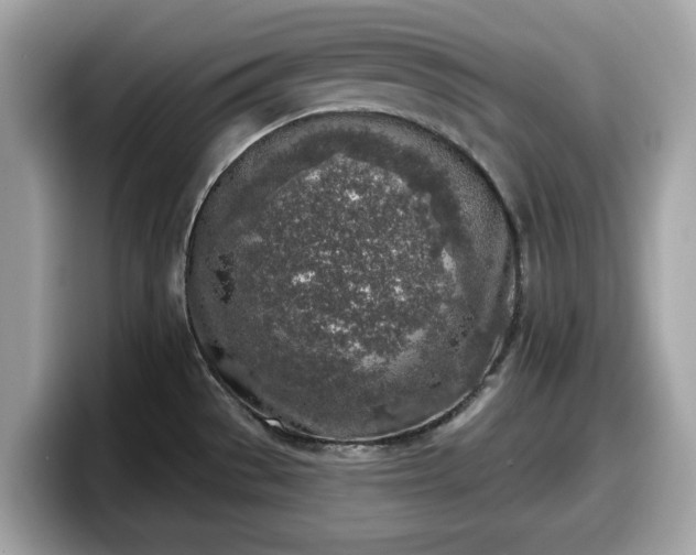 X0000098111529200804111045