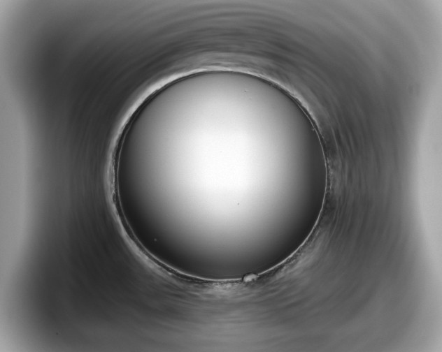 X0000098111531200804111045