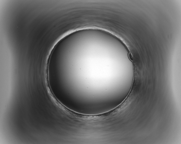 X0000098111534200804111045