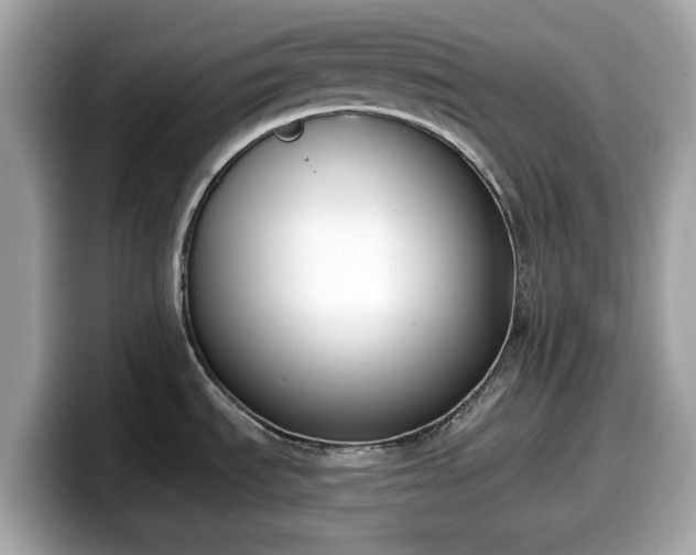 X0000098111535200804111045