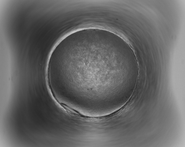 X0000098111536200804111045
