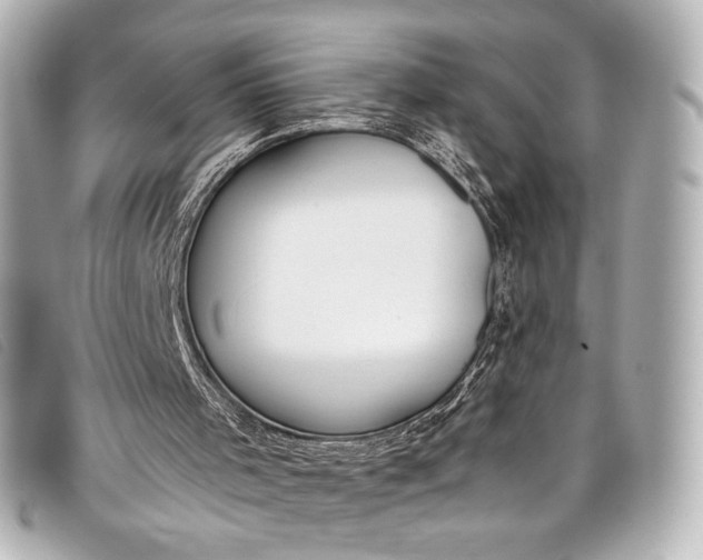 X0000098110001200804181504