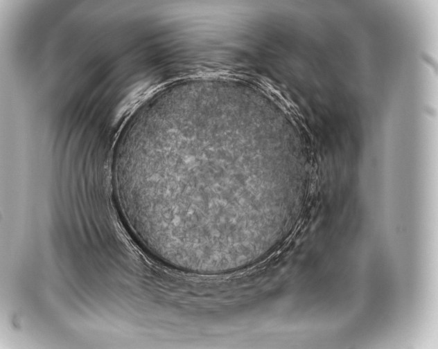 X0000098110002200804181504