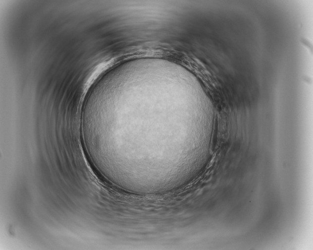 X0000098110003200804181504