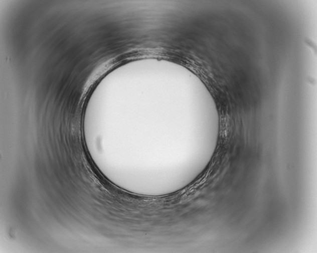 X0000098110004200804181504