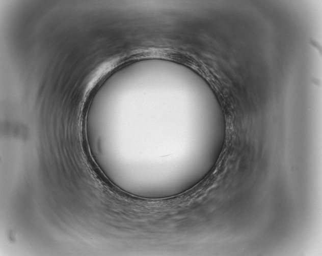 X0000098110006200804181504