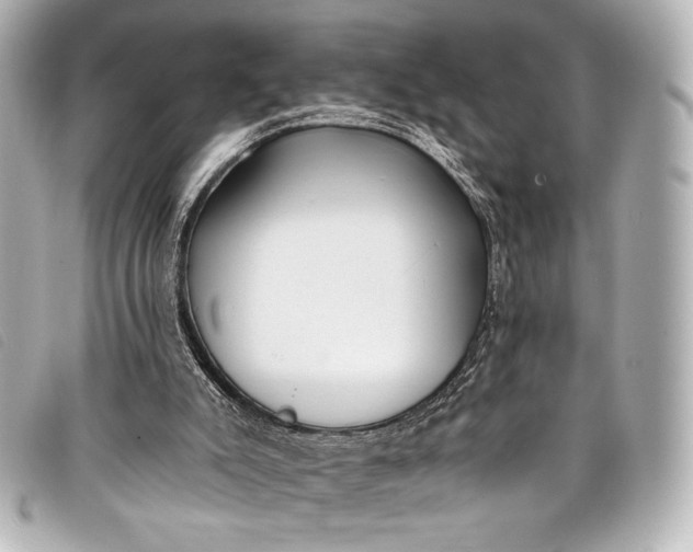 X0000098110007200804181504