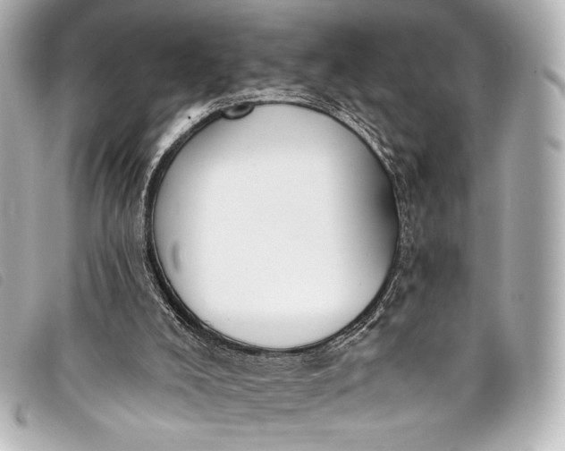 X0000098110008200804181504