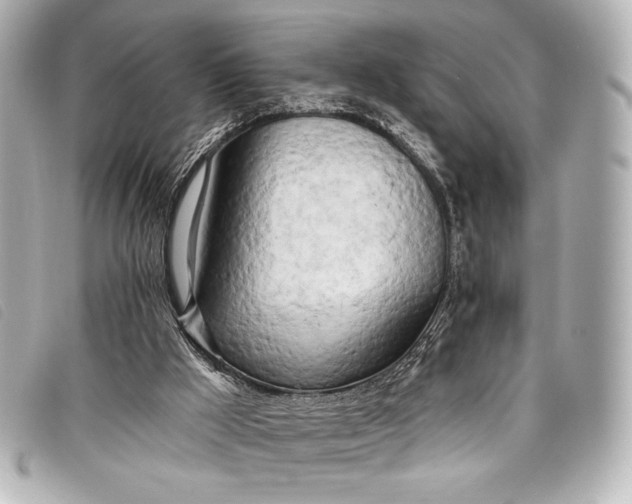 X0000098110009200804181504