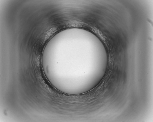 X0000098110010200804181504