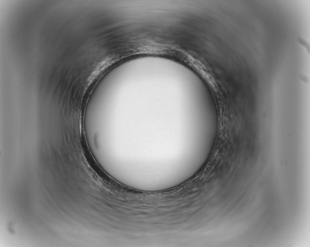 X0000098110011200804181504