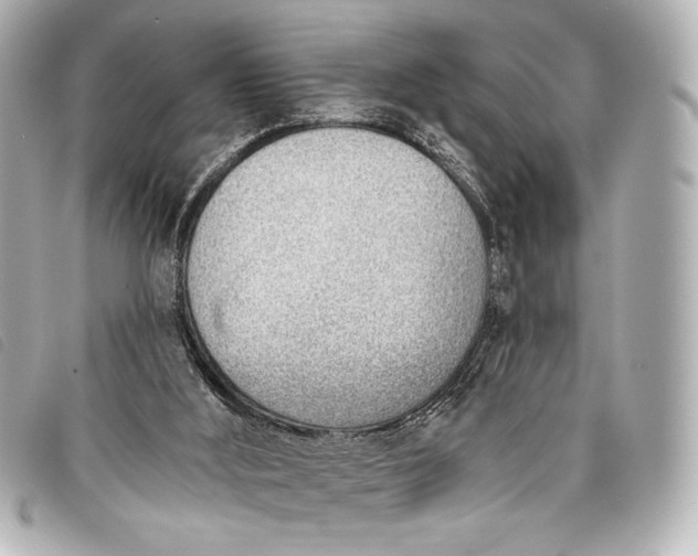 X0000098110012200804181504