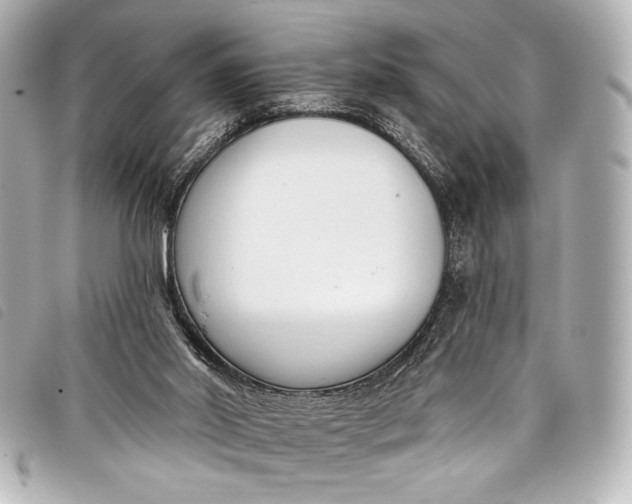 X0000098110014200804181504