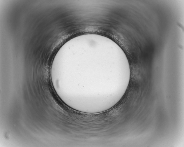 X0000098110016200804181504