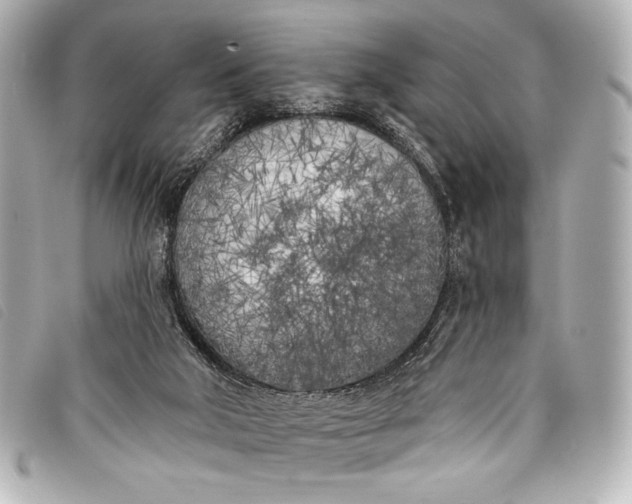 X0000098110018200804181504